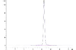The purity of Human c-MPL/Thrombopoietin R is greater than 95 % as determined by SEC-HPLC. (MPL Protein (AA 26-491) (His tag))