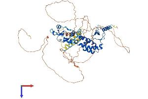 Chromosome 13 Open Reading Frame 18 (C13orf18) (AA 1-648) protein (His tag)