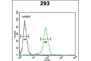 CLDN8 Antibody (Center) (ABIN653170 and ABIN2842734) flow cytometric analysis of 293 cells (right histogram) compared to a negative control cell (left histogram).