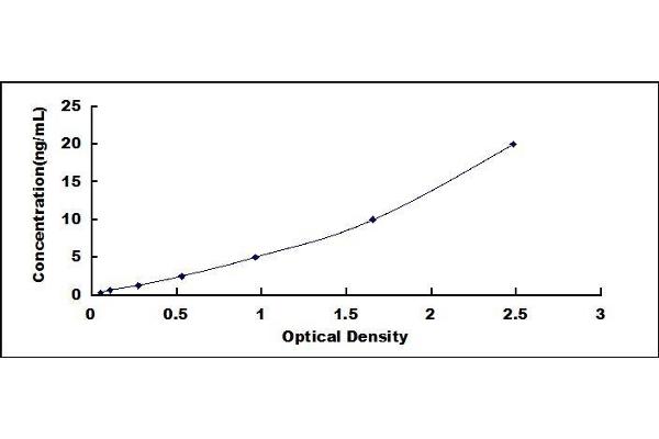 Elastase 4 ELISA Kit