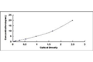 Typical standard curve (Elastase 4 ELISA Kit)