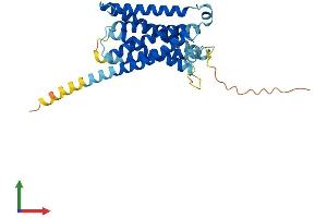AlphaFold protein structure predicition of Mouse Recombinant Mrgprb4 Protein, UniprotID Q91ZC0 (MRGPRB4 Protein (AA 1-321) (His tag))