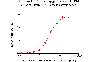 ELISA image for Fms-Related tyrosine Kinase 1 (VEGFR1) (FLT1) (AA 27-756) protein (His tag) (ABIN7490835)