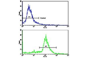 Flow cytometric analysis of ATDC5 cells using ALDH6A1 polyclonal antibody (bottom histogram) compared to a negative control cell (top histogram). (ALDH6A1 antibody  (N-Term))