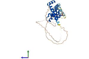 AlphaFold protein structure predicition of Human Recombinant SIX3 Protein, UniprotID O95343 (SIX3 Protein (AA 1-332) (His tag))
