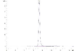 The purity of Mouse ICAM-1 is greater than 95 % as determined by SEC-HPLC. (ICAM1 Protein (AA 28-485) (His tag))