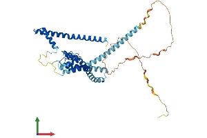 AlphaFold protein structure predicition of Mouse Recombinant Kcnk4 Protein, UniprotID O88454 (KCNK4 Protein (AA 1-398) (His tag))