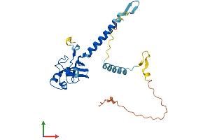 AlphaFold protein structure predicition of Human Recombinant MED6 Protein, UniprotID O75586 (MED6 Protein (AA 1-246) (His tag))