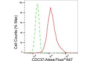 Flow cytometric analysis of CDC37 expression in HT- cells using CDC37 antibody (ABIN7798010), 1:2,000).