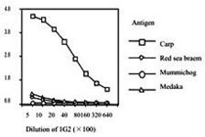 Standard curve for red sea bream, carp, mummichog and medaka ELISA, using Vitellogenin monoclonal antibody, clone 1G2 . (Vitellogenin 2 antibody)