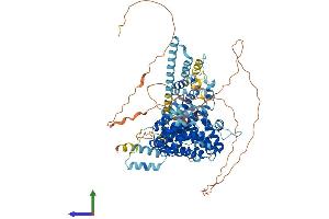 AlphaFold protein structure predicition of Mouse Recombinant Armc9 Protein, UniprotID Q9D2I5 (ARMC9 Protein (AA 1-817) (His tag))
