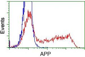 Image no. 1 for anti-Amyloid beta (A4) Precursor Protein (APP) antibody (ABIN1496875) (APP antibody)