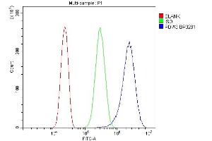 Flow Cytometry analysis of PC-3 cells using anti-ERp57 antibody (ABIN3043898).