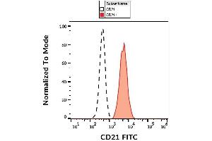 Surface staining of human peripheral blood leukocytes with anti-CD21 (LT21) FITC. (CD21 antibody  (FITC))