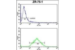 PX Antibody (Center) (ABIN653127 and ABIN2842706) FC analysis of ZR-75-1 cells (bottom histogram) compared to a negative control cell (top histogram). (PXMP4 antibody  (AA 128-155))