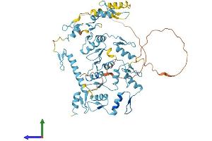 AlphaFold protein structure predicition of Mouse Recombinant Repin1 Protein, UniprotID Q5U4E2