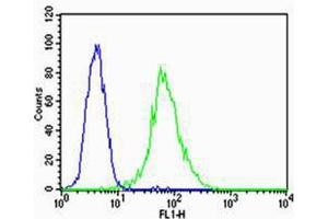 Flow cytometric analysis of HUVEC cells using VEGFR3(green, Cat (ABIN1882290 and ABIN2843609)) compared to an isotype control of mouse IgG2a(blue). (FLT4 antibody  (AA 1-439))