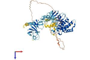 LIMK2 Protein (AA 1-638) (His tag)