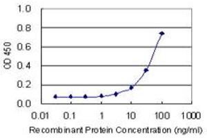 Detection limit for recombinant GST tagged BMI1 is 1 ng/ml as a capture antibody. (BMI1 antibody  (AA 1-326))