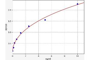 Typical standard curve (serine (Or Cysteine) Peptidase Inhibitor, Clade A, Member 3G (Serpina3g) ELISA Kit)