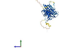 AlphaFold protein structure predicition of Human Recombinant DUSP12 Protein, UniprotID Q9UNI6 (DUSP12 Protein (AA 1-340) (His tag))