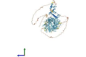 AlphaFold protein structure predicition of Human Recombinant ZNF197 Protein, UniprotID O14709 (ZNF197 Protein (AA 1-1029) (His tag))