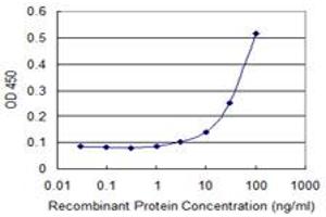 Detection limit for recombinant GST tagged PCK2 is 3 ng/ml as a capture antibody. (PEPCK antibody  (AA 1-640))