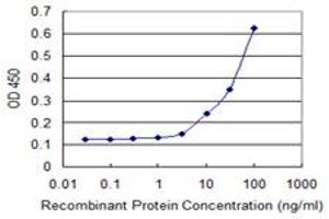 Detection limit for recombinant GST tagged FANCB is 3 ng/ml as a capture antibody. (FANCB antibody  (AA 750-858))
