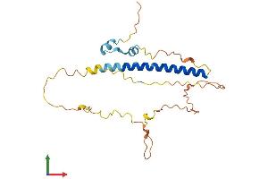 AlphaFold protein structure predicition of Mouse Recombinant Lurap1 Protein, UniprotID Q9D6I9