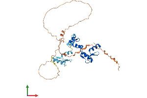 AlphaFold protein structure predicition of Human Recombinant GFI1B Protein, UniprotID Q5VTD9 (GFI1B Protein (AA 1-330) (His tag))