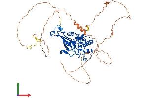 AlphaFold protein structure predicition of Human Recombinant BIVM Protein, UniprotID Q86UB2 (BIVM Protein (AA 1-503) (His tag))