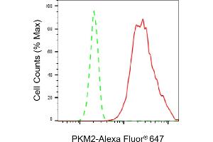 Flow cytometric analysis of PKM2 expression in HT- cells using PKM2 antibody (ABIN7800085), 1:2,000). (Recombinant PKM2 antibody)