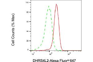 Flow cytometric analysis of DHRS4L2 expression in HaCaT cells using DHRS4L2 antibody (ABIN7798302), 1:2,000). (DHRS4L2 antibody)