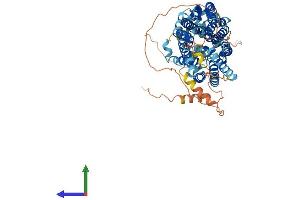 AlphaFold protein structure predicition of Human Recombinant SLC2A12 Protein, UniprotID Q8TD20