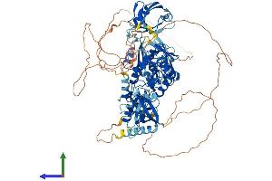 AlphaFold protein structure predicition of Human Recombinant DLG2 Protein, UniprotID Q15700 (DLG2 Protein (AA 1-870) (His tag))