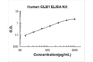 Galactosidase, beta 1 (GLB1) ELISA Kit