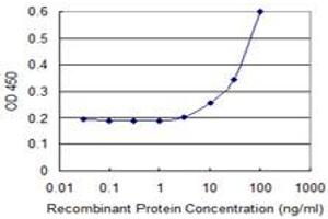 FBXO27 antibody  (AA 192-283)