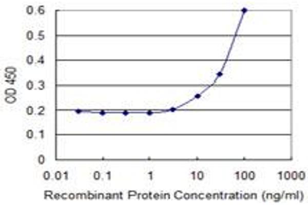 FBXO27 antibody  (AA 192-283)