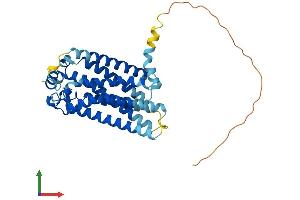 AlphaFold protein structure predicition of Mouse Recombinant S1pr2 Protein, UniprotID P52592