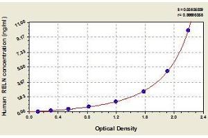 Typical standard curve (Reelin ELISA Kit)