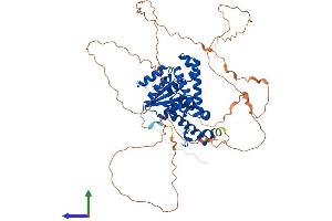 AlphaFold protein structure predicition of Mouse Recombinant Eya4 Protein, UniprotID Q9Z191