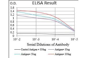 Fig. (PLA2G12A antibody  (AA 21-189))