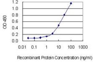 Detection limit for recombinant GST tagged ABO is 0. (ABO antibody  (AA 273-354))