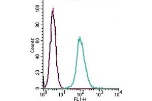 Cell surface detection of GPR132 by indirect flow cytometry in live intact mouse J774 macrophage cell line: + goat-anti-rabbit-FITC.