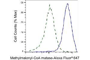 Validation of Methylmalonyl-CoA mutase knockdown using flow cytometry. (Recombinant MUT antibody)
