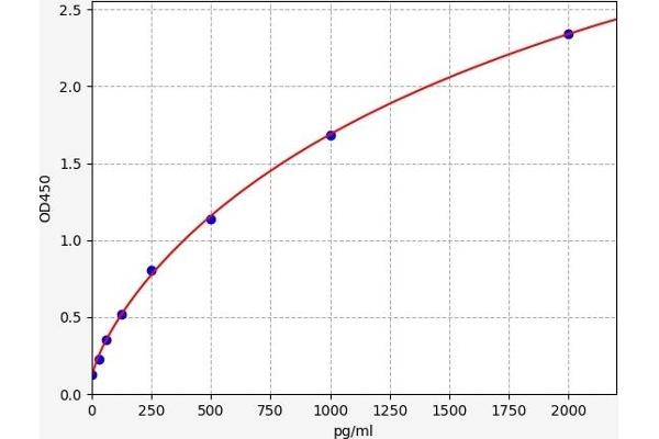 LILRB1 ELISA Kit