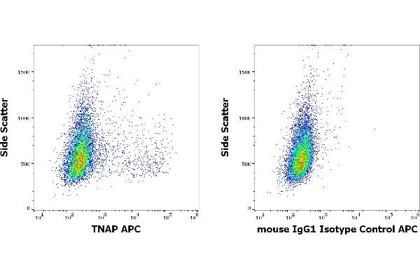TRAFs and NIK-Associated Protein (TNAP) anticorps (APC)