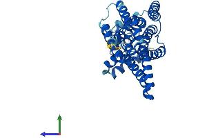 AlphaFold protein structure predicition of Mouse Recombinant G6pc3 Protein, UniprotID Q6NSQ9 (G6PC3 Protein (AA 1-346) (His tag))