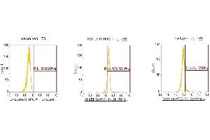 Flow Cytometry (FACS) image for anti-AlkB, Alkylation Repair Homolog 3 (ALKBH3) (AA 1-286) antibody (APC) (ABIN5565112) (ALKBH3 antibody  (AA 1-286) (APC))