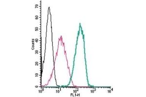 Cell surface detection of Neuroplastin by indirect flow cytometry in live intact human THP-1 monocytic leukemia cells: (black line) Cells. (NPTN antibody  (Extracellular, N-Term))